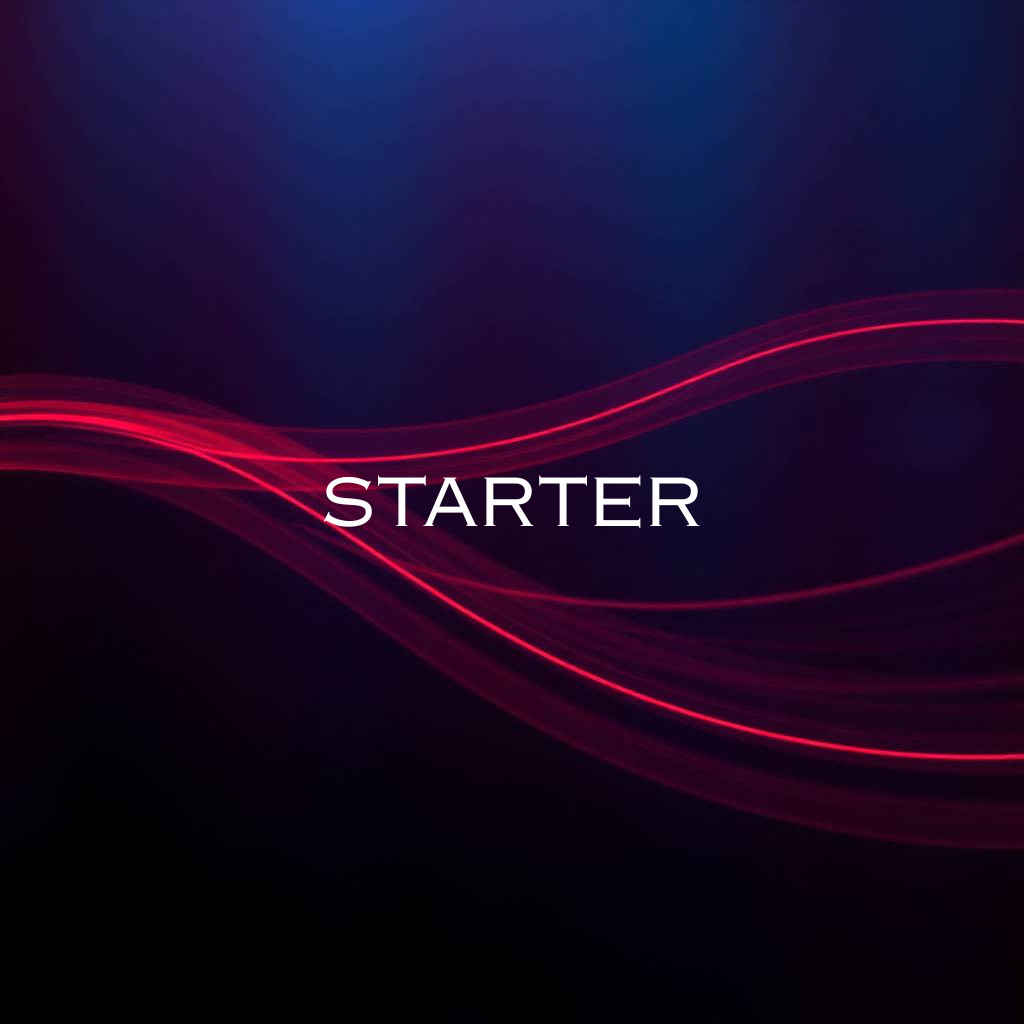 Starter
